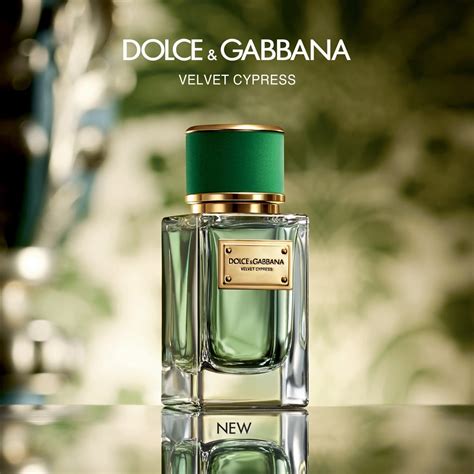 parfum dolce gabbana velvet cypress|dolce and gabbana velvet collection.